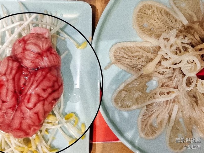【十月开“星”乐】+十一假期去成都