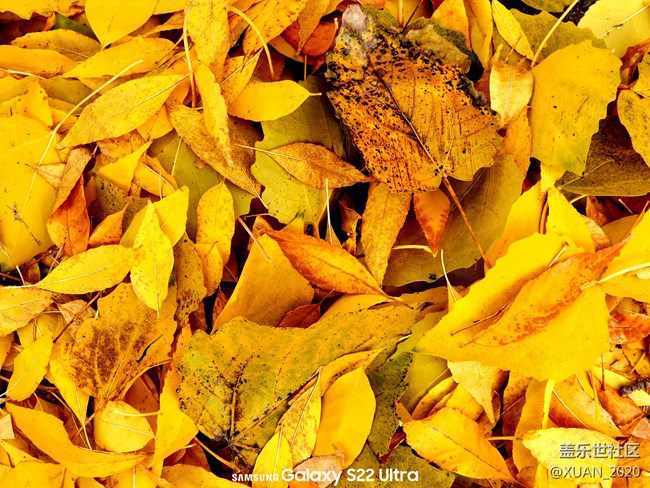 【色彩构成】+秋日色彩