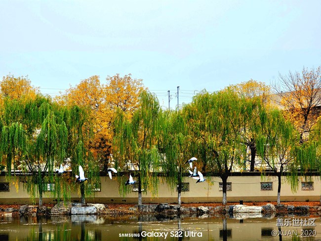 【色彩构成】+秋日色彩