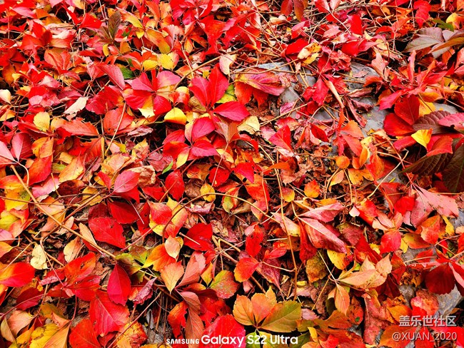 【色彩构成】+秋日色彩