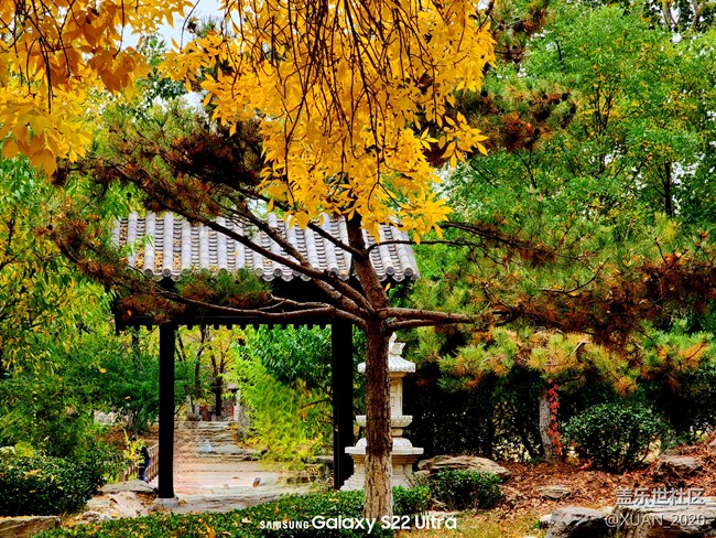 【色彩构成】+秋日色彩