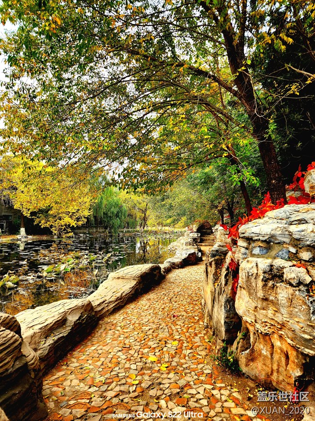 【色彩构成】+秋日色彩