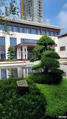 平原随拍