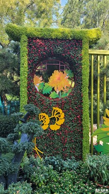 趵突泉43届菊展-5