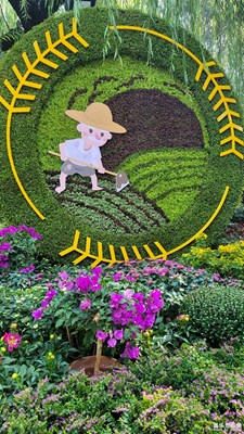 趵突泉43届菊展-6