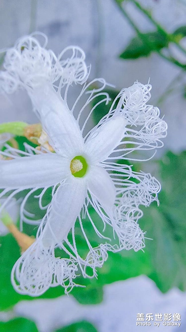 《每周星鲜事》 第125期: