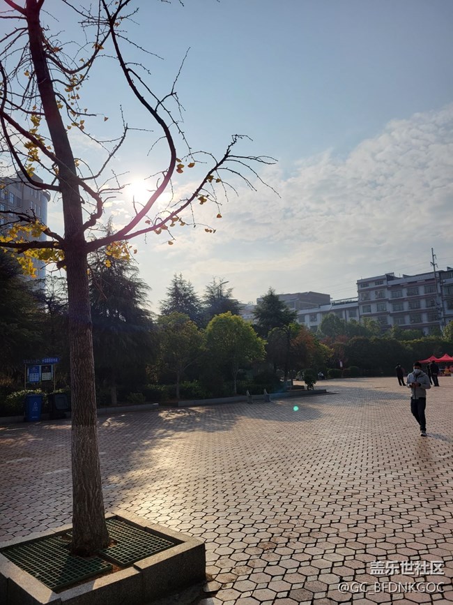 三星工程师们，对着太阳光拍照，会有个绿点，这个怎么破？