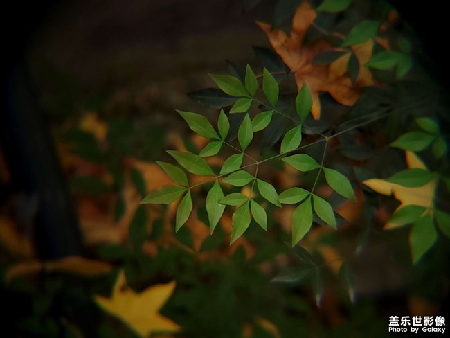 《每周星鲜事》 第125期: