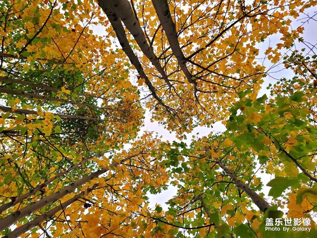 《每周星鲜事》 第125期: