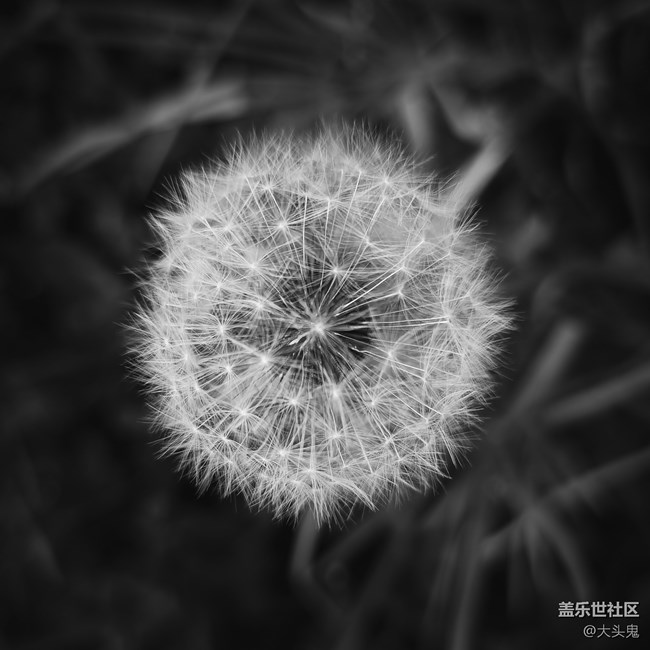 【美之间】山水间