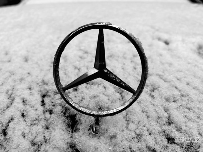 【我要当锦鲤】下雪