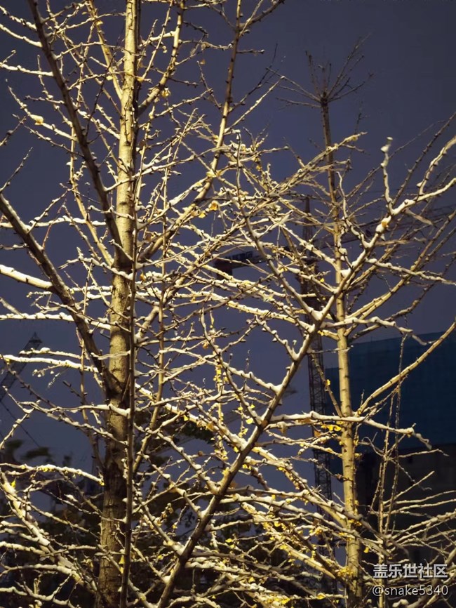 【凌冬将至】+2022年的第一场雪