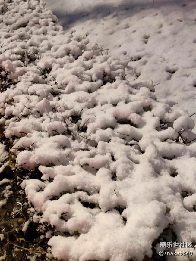 【凌冬将至】+2022年的第一场雪