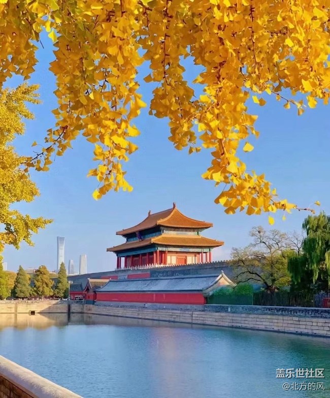 【晚秋】----不一样的风景