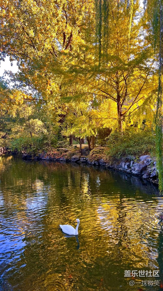 【晚秋】+秋意浓