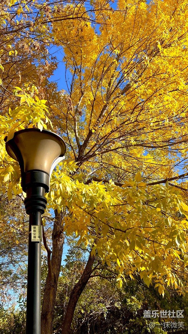 【晚秋】+秋意浓