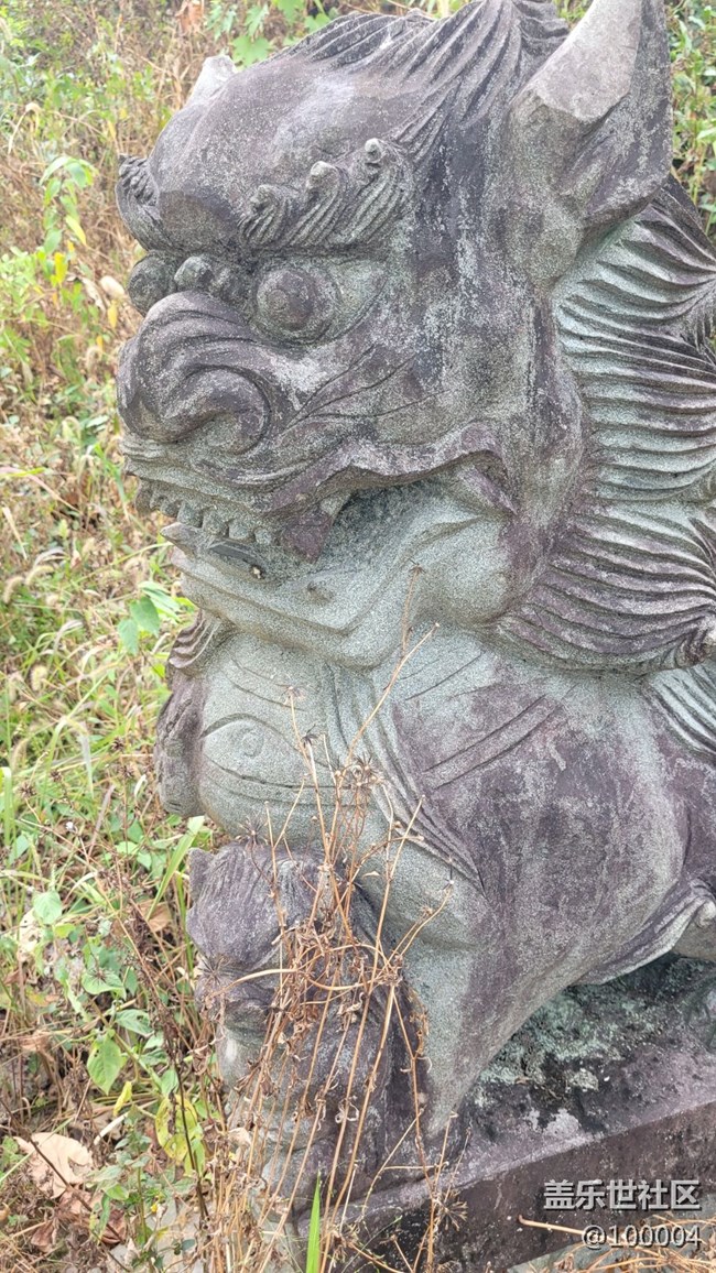 #静物写真——可怕