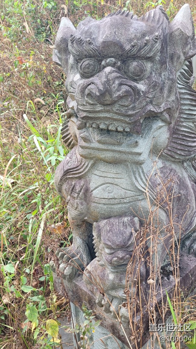 #静物写真——可怕