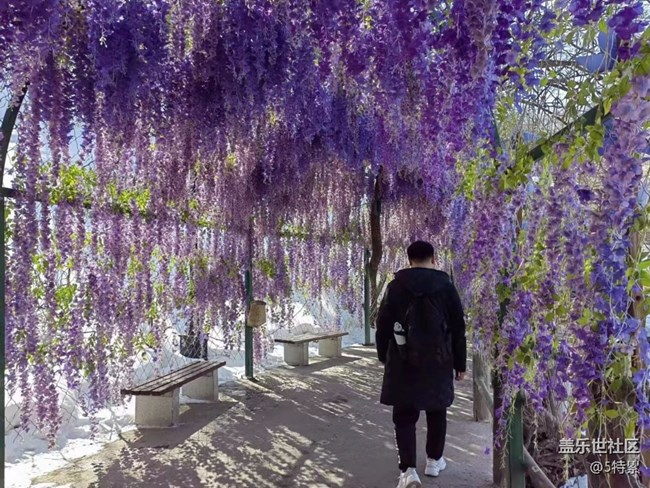 【晚秋】登高