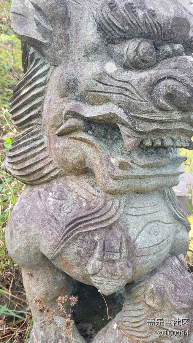 #静物写真——可怕