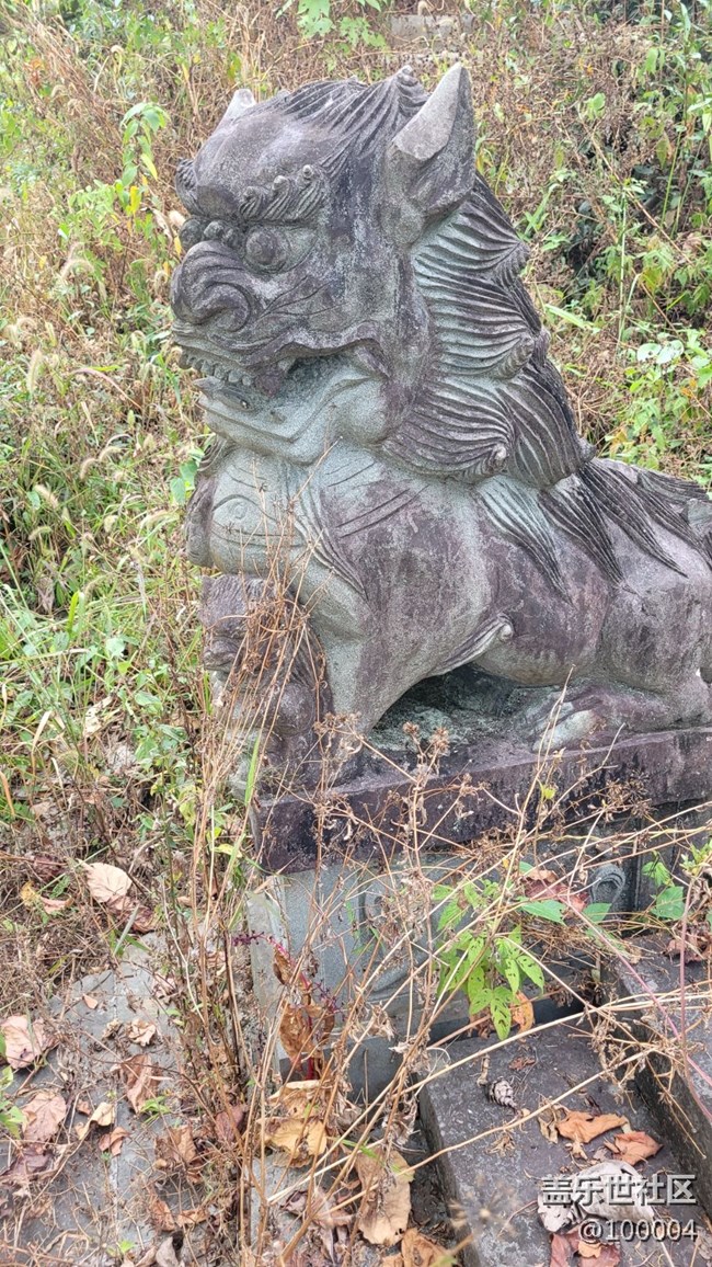 #静物写真——可怕