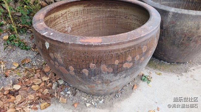 #静物写真——大水缸