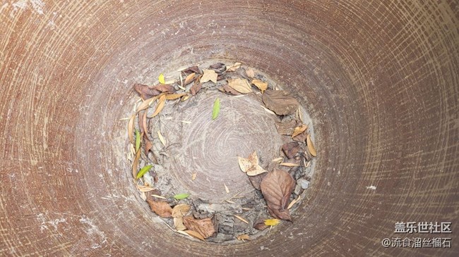 #静物写真——大水缸