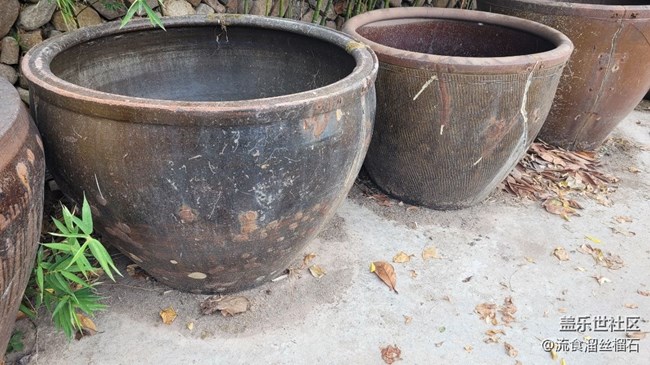 #静物写真——大水缸