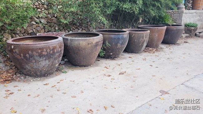 #静物写真——大水缸