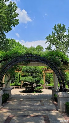 六月的植物园