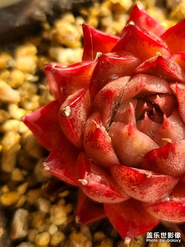 《每周星鲜事》 第127期: