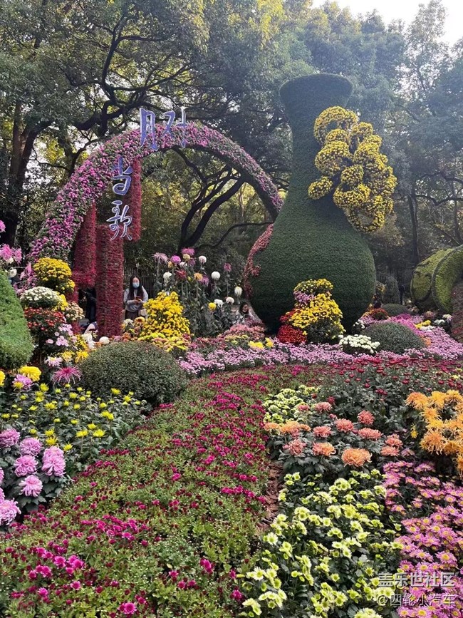 【晚秋】花艺展