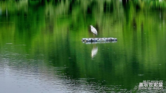 《每周星鲜事》 第127期: