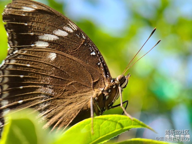 《每周星鲜事》 第127期: