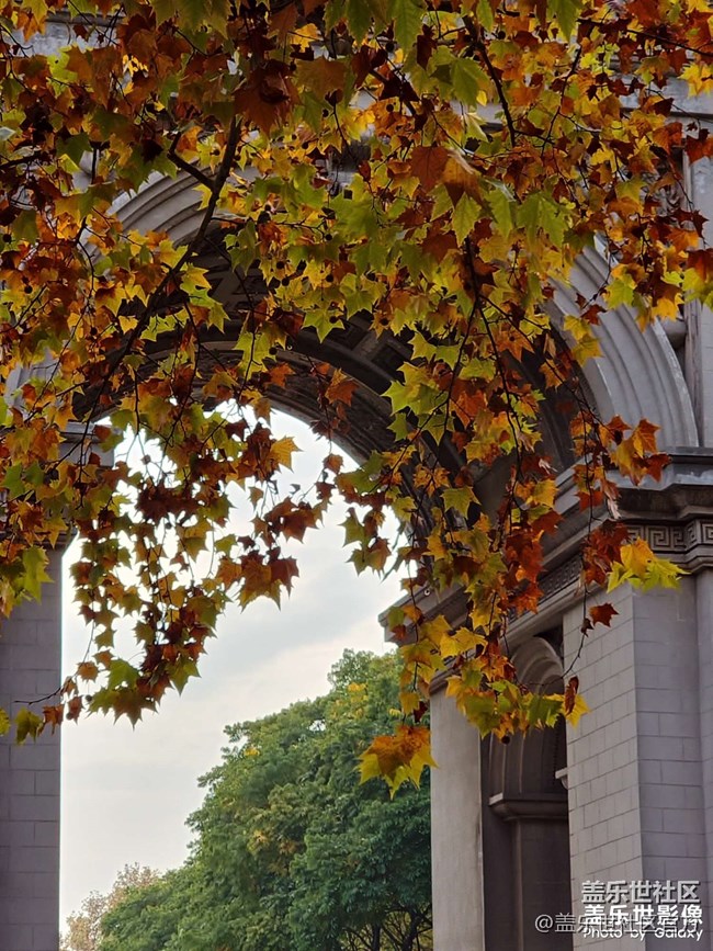 《每周星鲜事》 第127期: