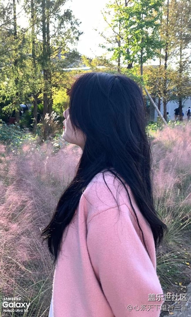 【微距里的景色】深秋赏菊之宁波植物园