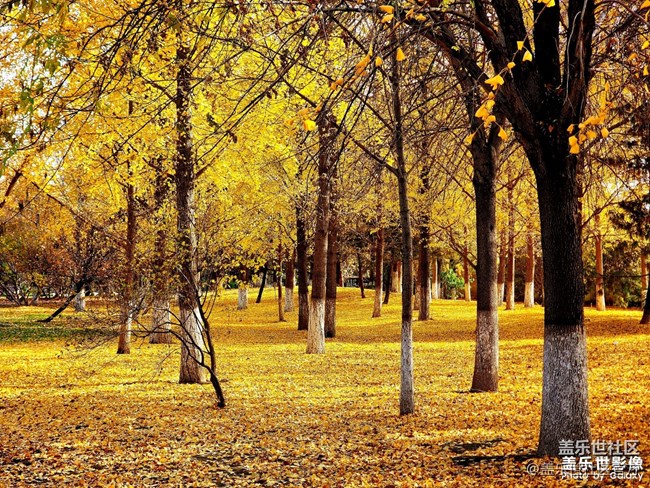 《每周星鲜事》 第127期: