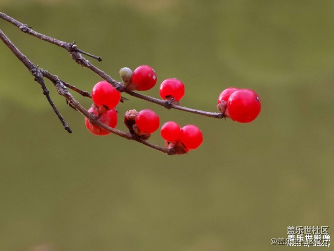 《每周星鲜事》 第127期: