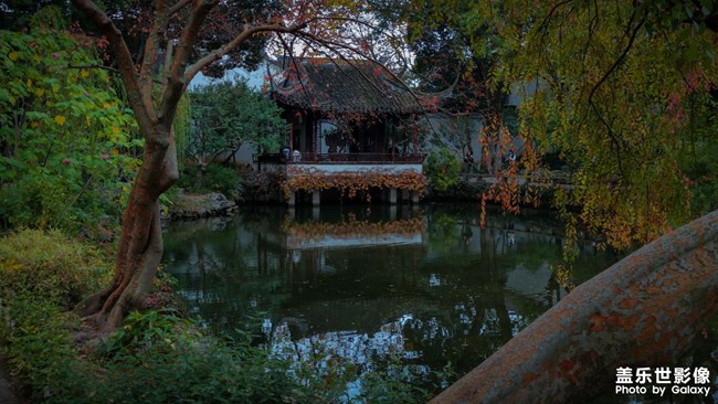 《每周星鲜事》 第127期: