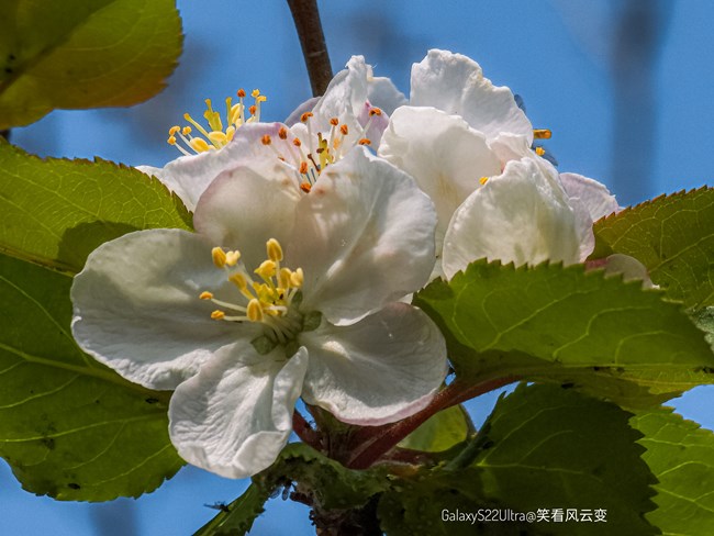 《每周星鲜事》 第127期: