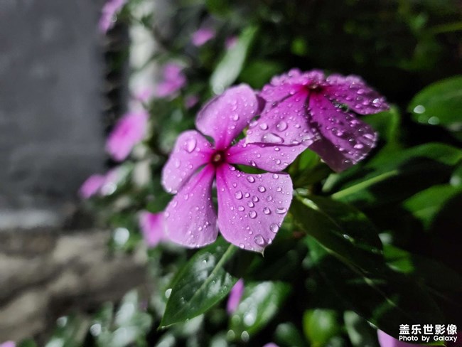 《每周星鲜事》 第127期: