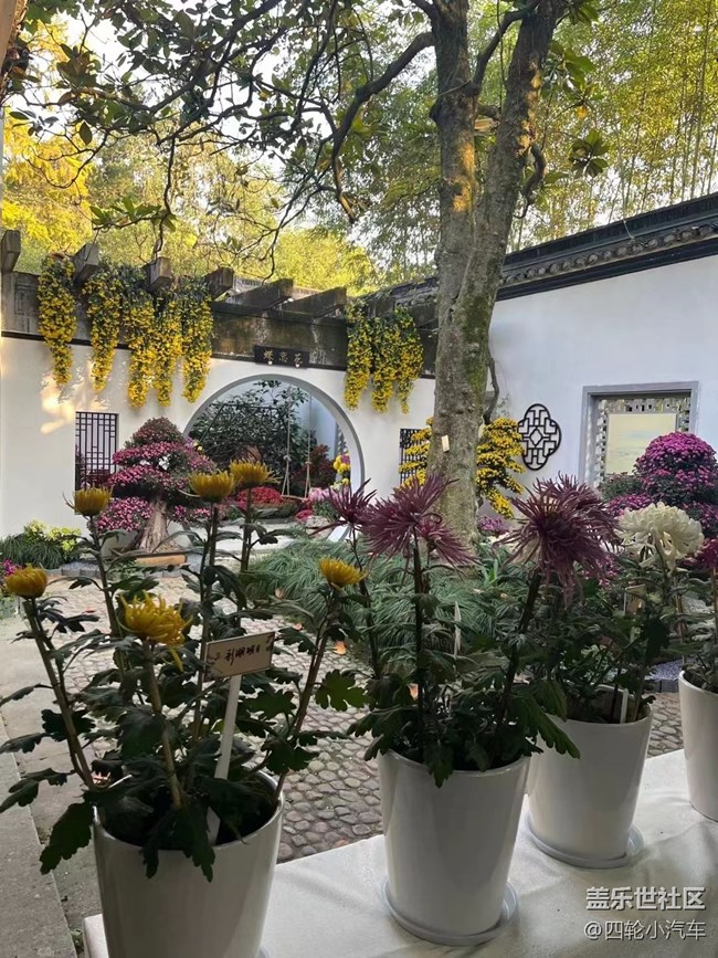 【晚秋】花艺展
