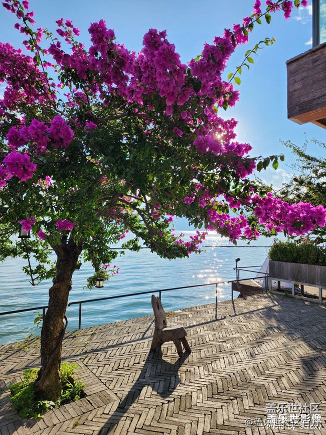 《每周星鲜事》 第127期: