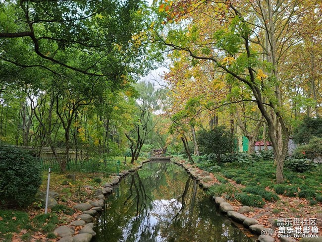 《每周星鲜事》 第127期: