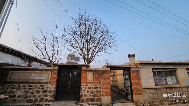 【凌冬将至】枯藤老树