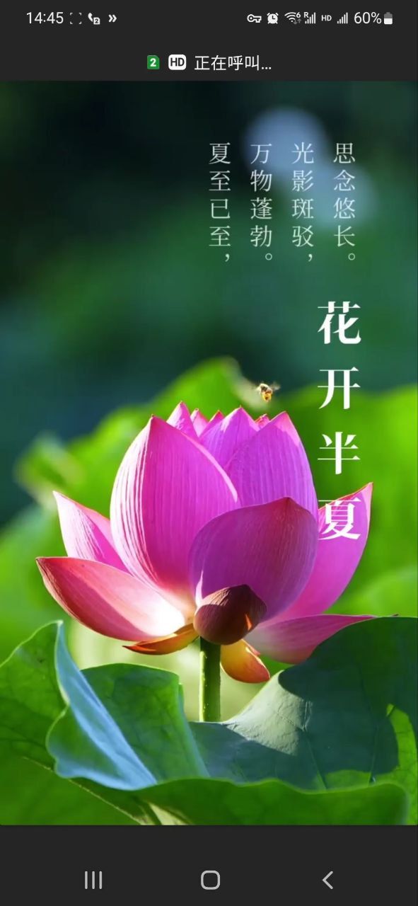 通话背景如何禁用