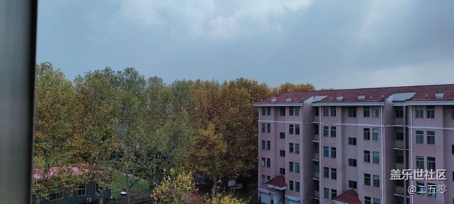 【晚秋】小区景色