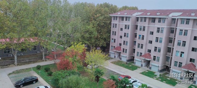 【晚秋】小区景色