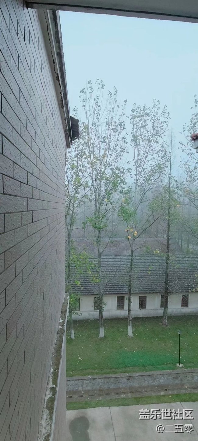 【晚秋】小区景色