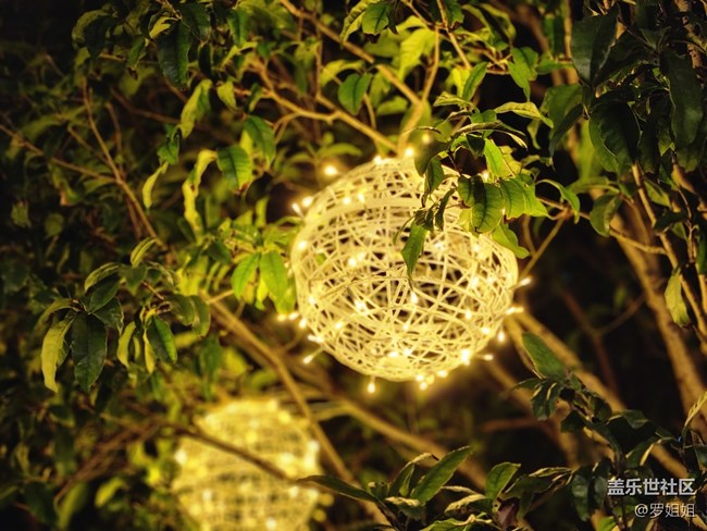#静物写真——夜灯